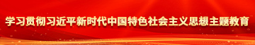 搞大BB视频学习贯彻习近平新时代中国特色社会主义思想主题教育